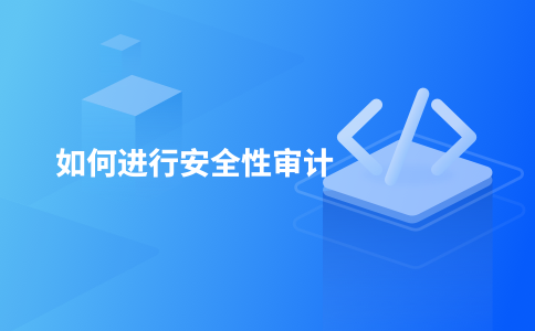 如何进行安全性审计